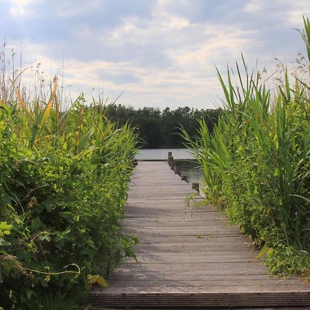 Moderne Und Helle Ferienwohnung Am Ploener See Bosau Kültér fotó