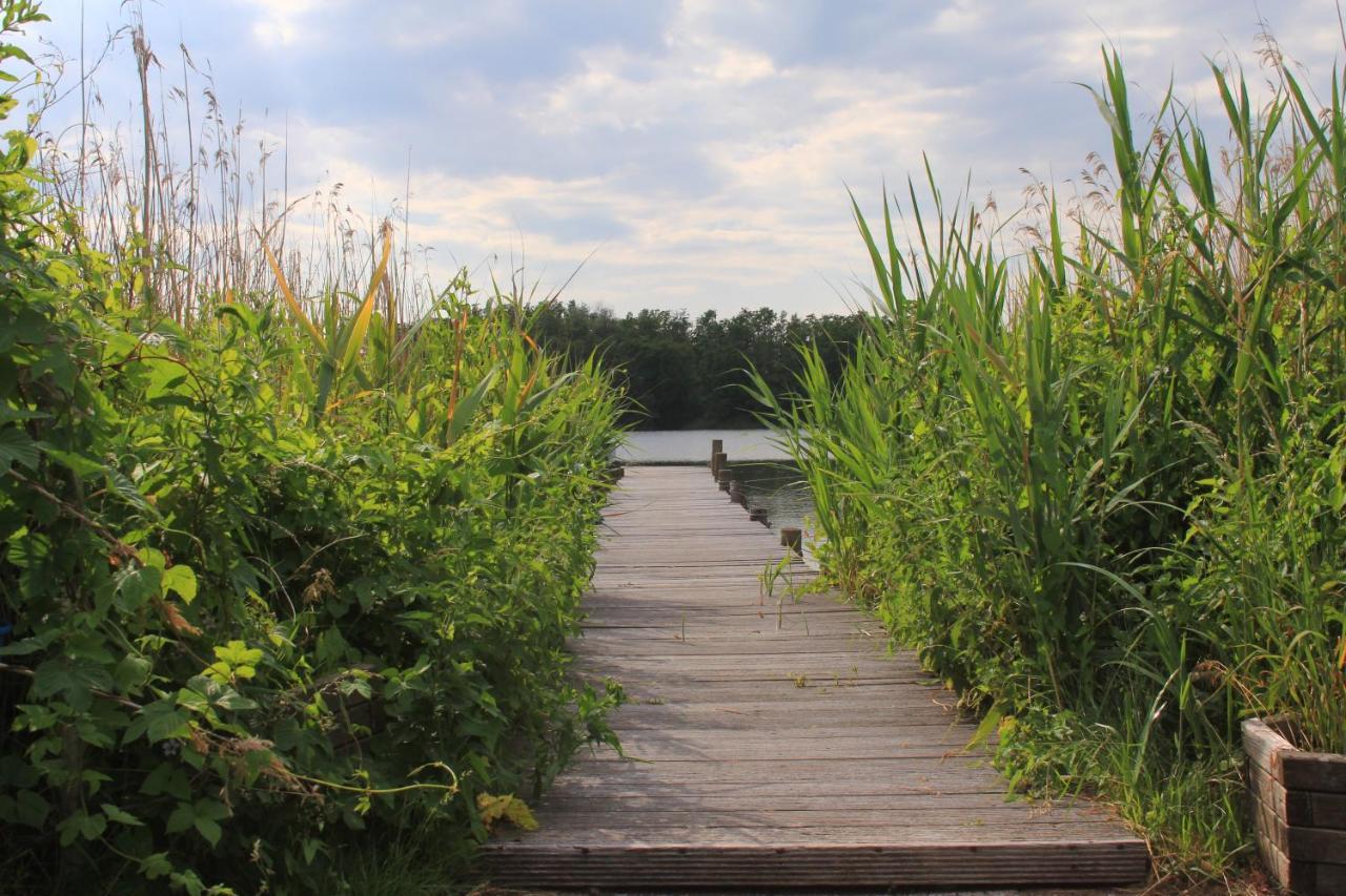 Moderne Und Helle Ferienwohnung Am Ploener See Bosau Kültér fotó